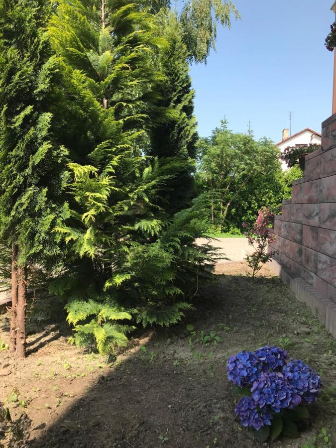 Noclegi Viva Mszczonów Exterior foto